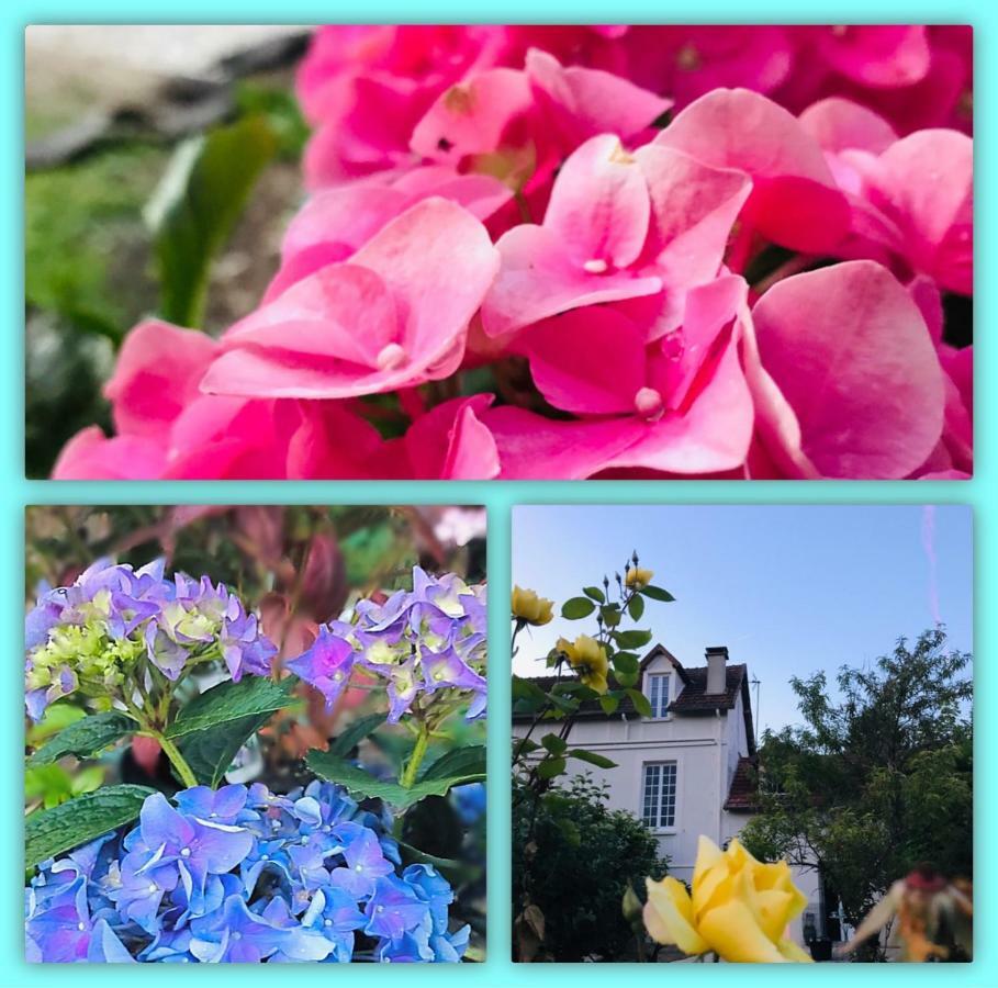 Belle Vue Terrasse Bed and Breakfast Giverny Buitenkant foto